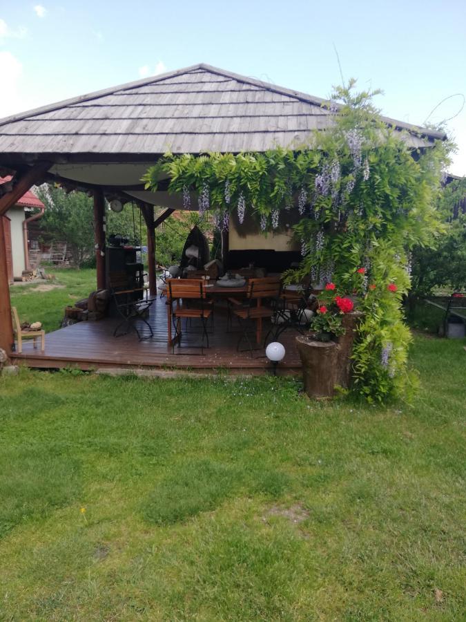Imado Vendeghaz Daire Cernat Dış mekan fotoğraf